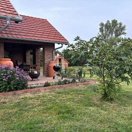 Kosbor Panzió Acomodação com café da manhã Magyarszombatfa Exterior foto